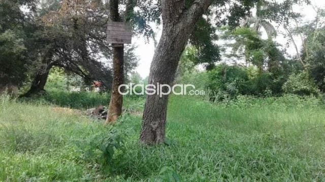 Terreno en Lambaré, cercanias del yacht, foto 3