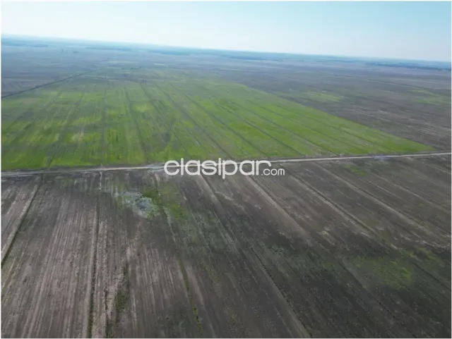 San pedro del paraná, prox. Ruta 9: 3.150has s/ rio, p/ agriculcura, soja, etc, foto 5