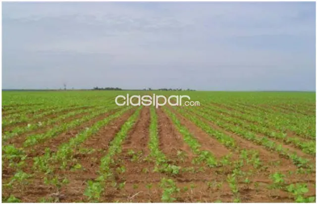 Santa rosa del monday, alto parara: 5.829 has agro ganadera forestal s/ acuífero guaraní — foto 3