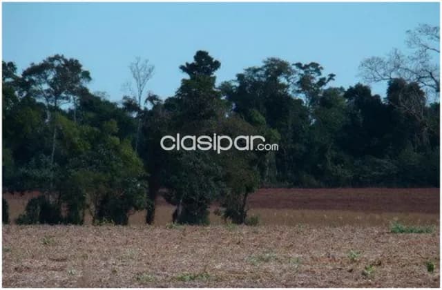 Santa rosa del monday, alto parara: 5.829 has agro ganadera forestal s/ acuífero guaraní — foto 5