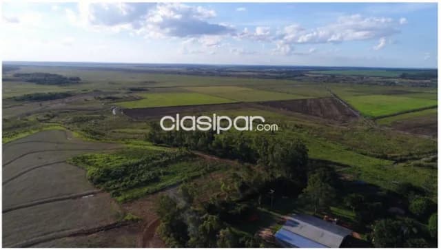 San pedro del paraná, itapua: 5.890 has sojeras, forestal, s/ acuífero guaraní, foto 3
