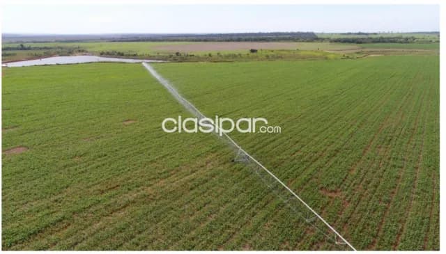 San pedro del paraná, itapua: 5.890 has sojeras, forestal, s/ acuífero guaraní, foto 4