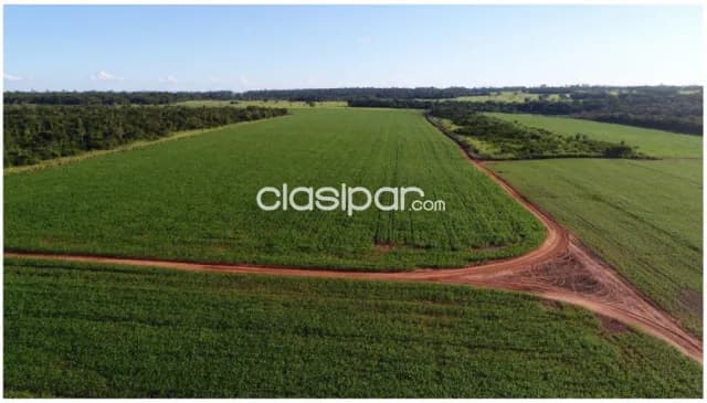 San pedro del paraná, itapua: 5.890 has sojeras, forestal, s/ acuífero guaraní, foto 5