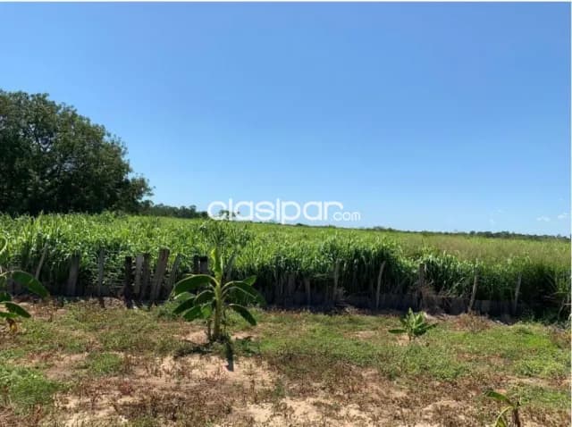 Establecimiento Agroganadero de 18.485 Has en Bahía Negra - CLCS7604894, foto 2