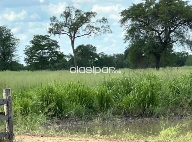 Establecimiento Agroganadero de 18.485 Has en Bahía Negra - CLCS7604894, foto 3