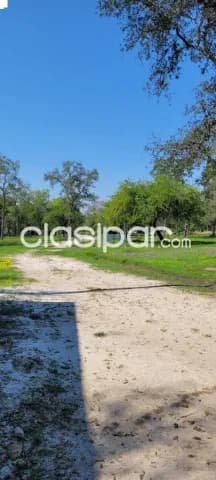 de Estancia/Ganadera en Pilar, Ñeembucú, foto 5