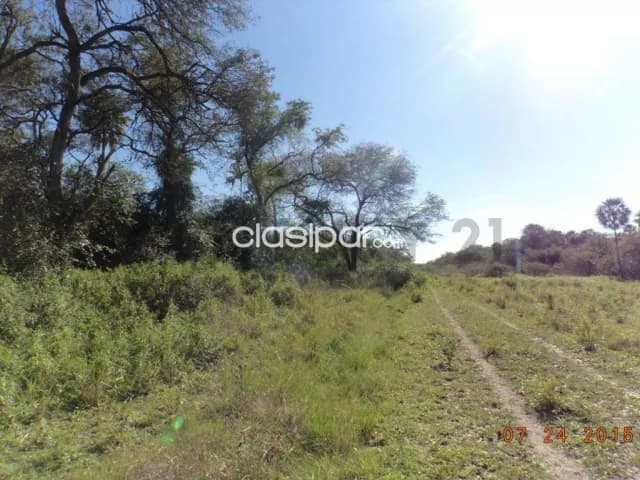 de Estancia/Ganadera en Villa Hayes, Presidente Hayes, foto 3