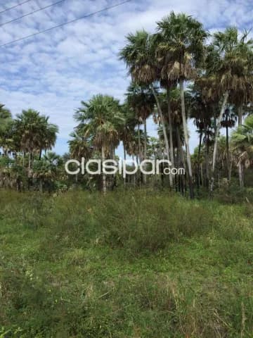 de Estancia/Ganadera en Villa Hayes, Presidente Hayes, foto 4