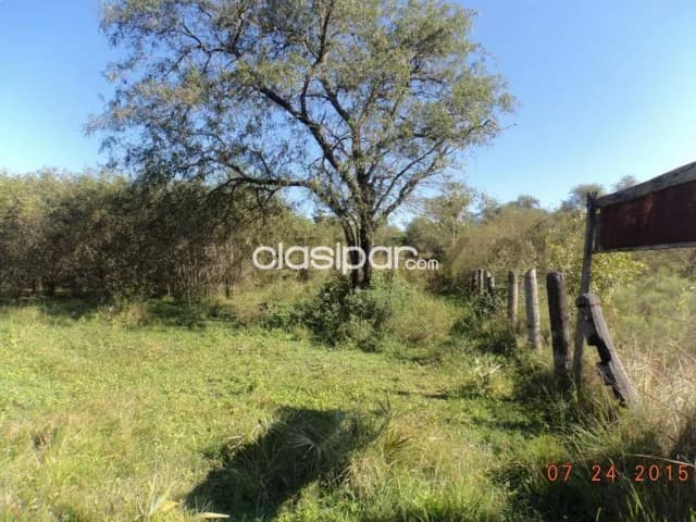 de Estancia/Ganadera en Villa Hayes, Presidente Hayes, foto 5