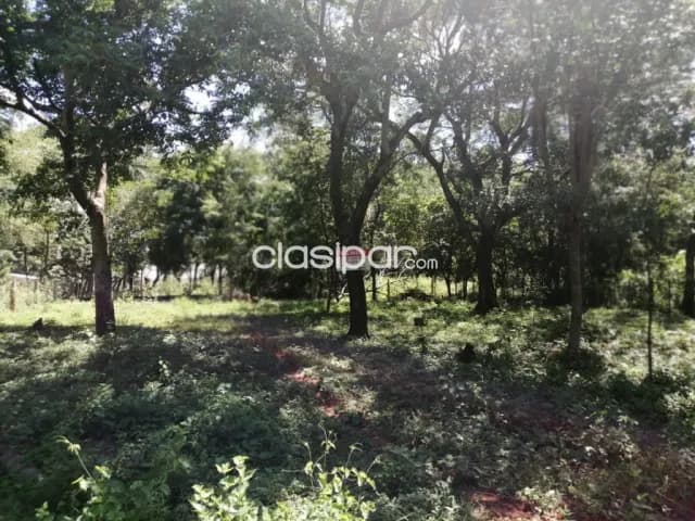 Dos terrenos en Luque zona aeropuerto cod 3067 — foto 4