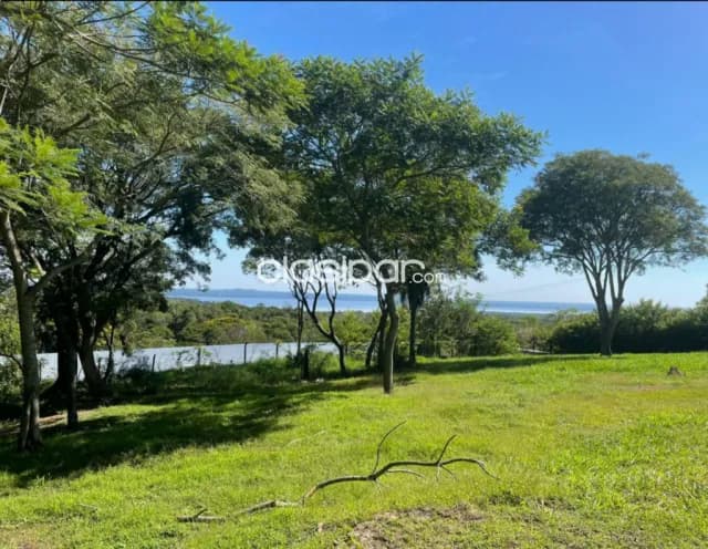 Terreno en 3 lotes juntos en Condominio Cerrado Punta Bella - Altos, foto 3
