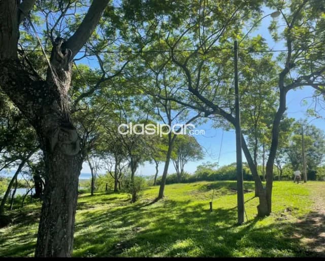 Terreno en 3 lotes juntos en Condominio Cerrado Punta Bella - Altos, foto 4