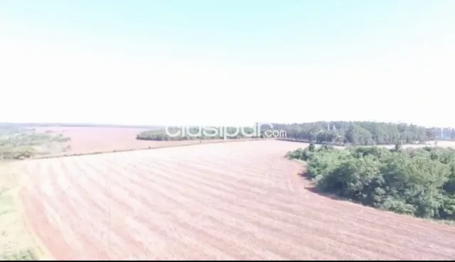 Campo Agrícola/Ganadero Mecanizado en 3 de Mayo - 786 Ha — foto 2