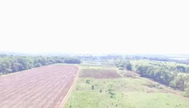 Campo Agrícola/Ganadero Mecanizado en 3 de Mayo - 786 Ha — foto 3