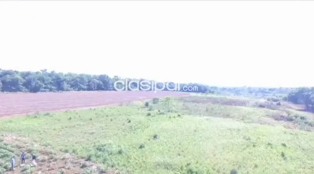 Campo Agrícola/Ganadero Mecanizado en 3 de Mayo - 786 Ha — foto 4
