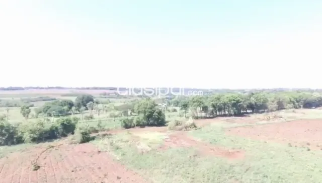 Campo Agrícola/Ganadero Mecanizado en 3 de Mayo - 786 Ha — foto 5