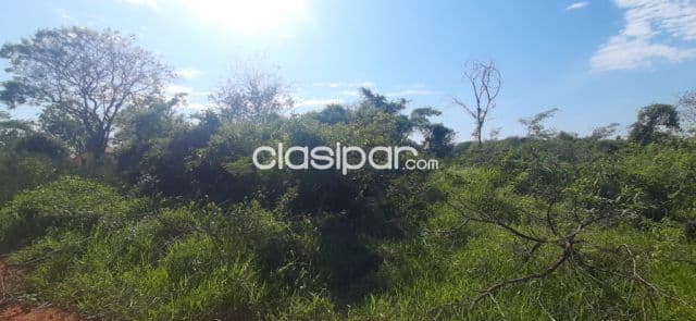 Ganga =terreno en maramburé/Luque
