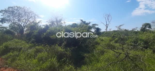 Ganga =terreno en maramburé/Luque, foto 2