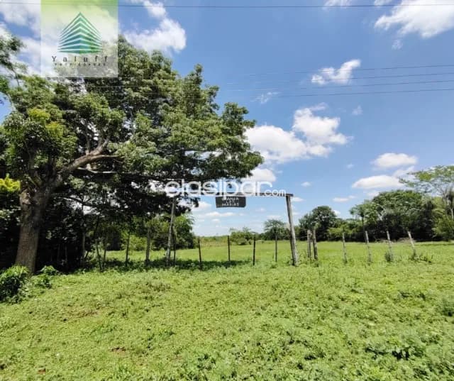 Terreno para granja o industria 3 has en ita, foto 5