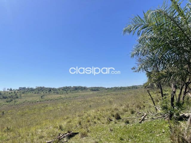 Terreno Rural en Juan Domingo Ocampos - 20 Ha
