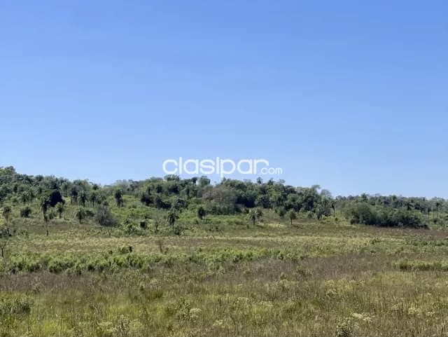 Terreno Rural en Juan Domingo Ocampos - 20 Ha — foto 3