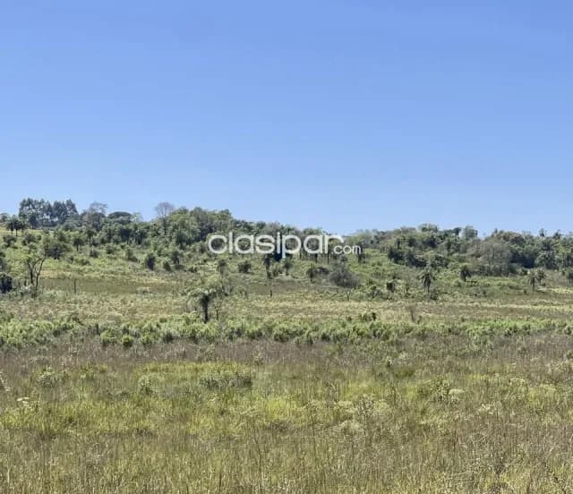 Terreno Rural en Juan Domingo Ocampos - 20 Ha — foto 4
