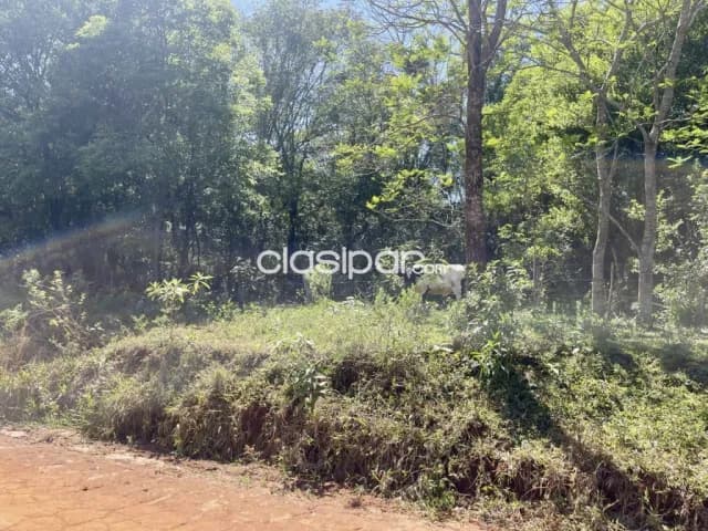 Terreno Rural en Juan Domingo Ocampos - 20 Ha — foto 5