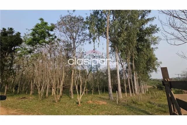 Estancia -campo — foto 5