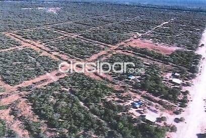 10 Hectáreas con Potencial Excepcional en Pozo Hondo, Boquerón Chaco 43341