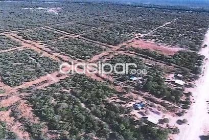 10 Hectáreas con Potencial Excepcional en Pozo Hondo, Boquerón Chaco 43341 — foto 2