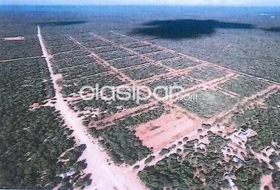 10 Hectáreas con Potencial Excepcional en Pozo Hondo, Boquerón Chaco 43341 — foto 4