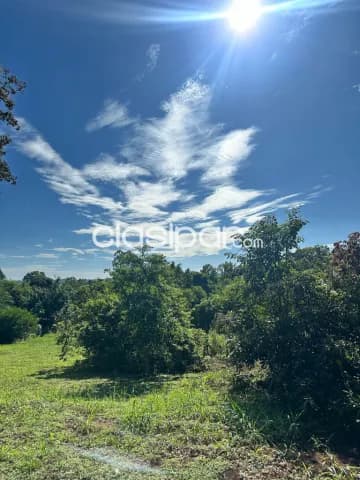 Lote de 658 m2 en obligado, sobre avenida — foto 3