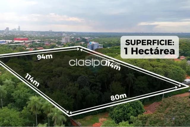 Luque, prox. Cit: 10.000 m2, ideal p/ emprendimientos mixtos, inmobiliarios, comerciales — foto 5