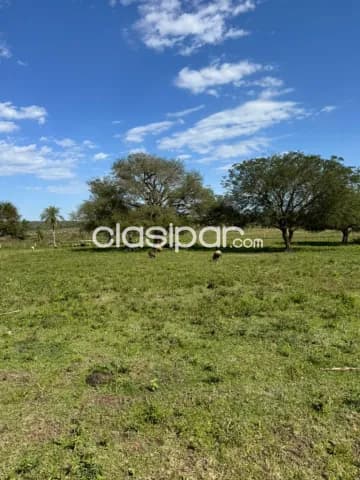 Hectareas en loma grande cod 6183 — foto 4