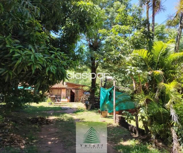 Importante terreno 1227 m2 con 22 metros de frente sobre cacique Lambaré, foto 5