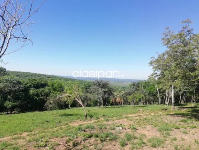Terrenos con hermosas vistas en sanber camino a nueva colombia, foto 5
