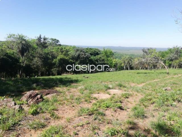 Terrenos en sanber camino a nueva colombia — foto 1