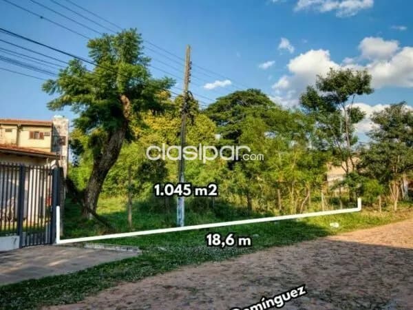 1045 m2 en Lambaré salida de calle a calle 13526, foto 3