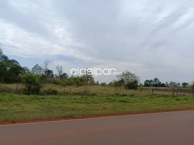 Campo en Valenzuela sobre Ruta Pavimentada - 92 Ha, foto 2
