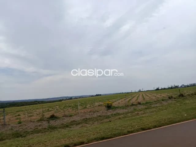 Campo en Valenzuela sobre Ruta Pavimentada - 92 Ha, foto 3