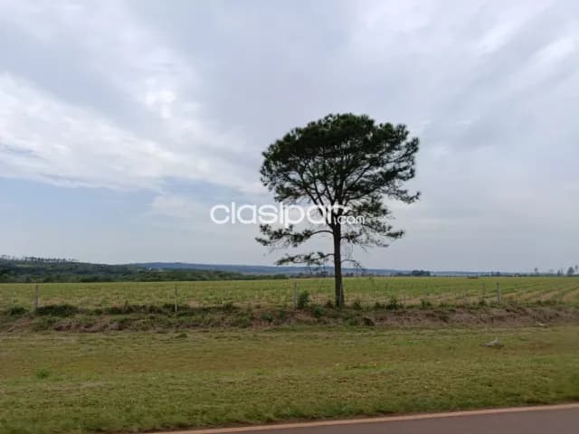 Campo en Valenzuela sobre Ruta Pavimentada - 92 Ha, foto 4
