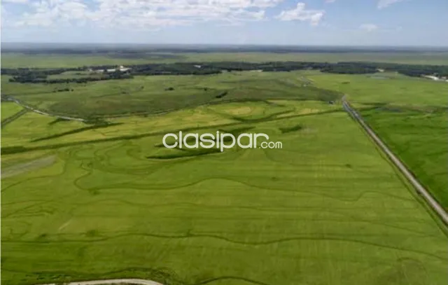 Campo Agrícola/Ganadero Mecanizado en Mbuyapey - 1242 Ha, foto 2