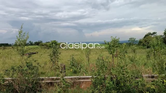En venta! Departamento de Caaguazu - Zona de Coronel Oviedo y Caaguazú — foto 3