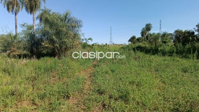 En venta! - Caaguazú 10 hectáreas - Sobre ruta internacional PY02, foto 1