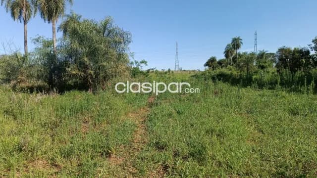 En venta! - Caaguazú 10 hectáreas - Sobre ruta internacional PY02, foto 2