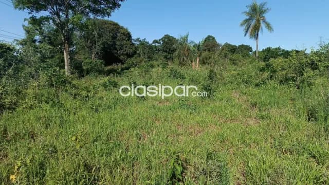 En venta! - Caaguazú 10 hectáreas - Sobre ruta internacional PY02, foto 4