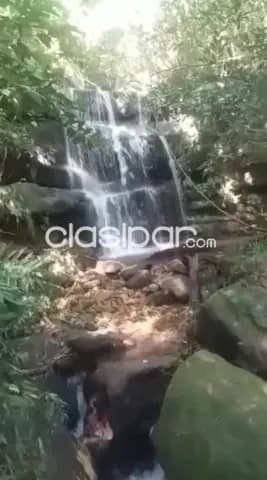 En venta! - 6.3 hectáreas en Caaguazu - Sobre ruta internacional PY02 — foto 5