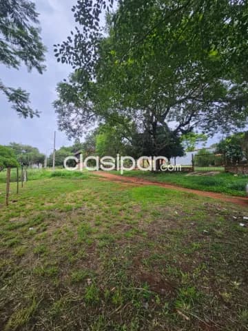 Terreno de 19x60 en total 1140 m2 de calle a calle en San Antonio zona Las Garzas, foto 5