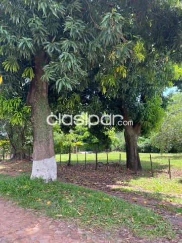 2 terrenos en mariano barrio maría auxiliadora, foto 4