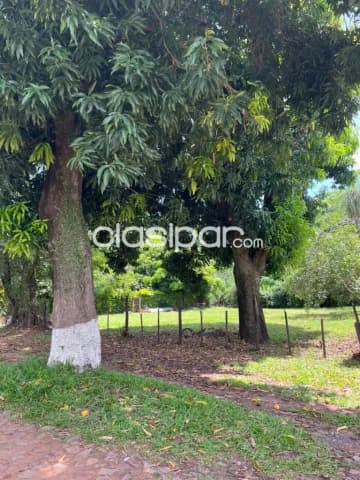 2 terrenos en mariano barrio maría auxiliadora, foto 5